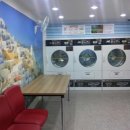 선학 세탁 이미지