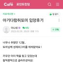 아기다람쥐 | 아기다람쥐또미네 입양후기