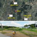 덕양공인중개사사무소 이미지