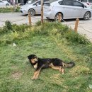 몽멍이들 이미지