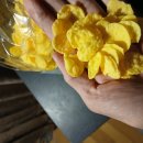 오트로 패밀리아