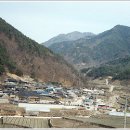 압곡2구 Daum카페