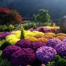 메디힐요양병원 이미지