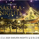 [야간]일본어 | (교토 벚꽃 여행) 니조성 야간 라이트업 (Not.추천)