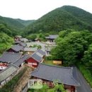 [국내여행]경북의성에 있는 불도와 학문의 본원지 고운사 이미지