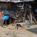 화전1리마을회관 이미지