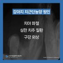 우리동물메디컬센터 이미지