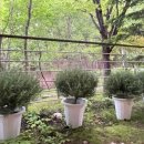 상원농원 이미지