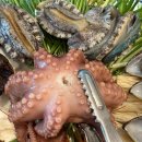 수원-1439 이미지