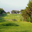 백호스크린골프 이미지