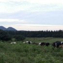 시즌글라스 이미지