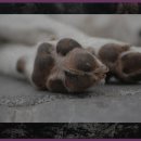 시사교육박물관 김갑진 갤러리 | 김갑진 갤러리, 시사교육박물관 방문 후기