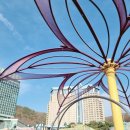 석탄회관사우나 | 리조트/ 호캉스/ 그랜드테이블 디너/ 사우나&amp;수영장/ 운암정/ 석탄회관/ 경기광주휴게소/60계 크크크치킨