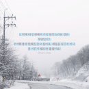 인생사진 이미지