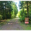 한라산둘레길 사려니숲길 이미지