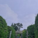 서우(SEOW) 네이버블로그