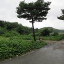 포항시북구9 이미지