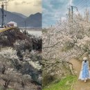 원동교통(주) 이미지