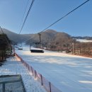 세븐일레븐 지산점 | [이천] 지산리조트 스키장 _ 브라더스 렌탈샵 + 슬로프 리뷰
