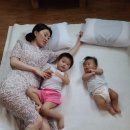 비내 청명원 네이버블로그