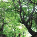 팔야1리 마을회관 이미지