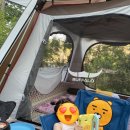 브라더오토케어 | 6살 아이와 생애 첫 캠핑 / 가평 캠프수풀이 오토캠핑장