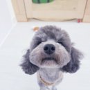 개도만족 이미지