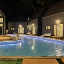 포레스트오션 이미지