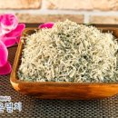 남해은멸치