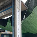 푸른자동차 이미지