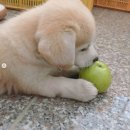 멍스토리 이미지