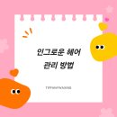 헤어손