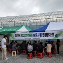 천과채 티스토리