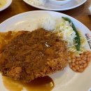 [남산 맛집] 줄 서서 먹는 이유가 있다! 101번지 남산돈까스 솔직후기✨