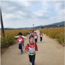 코스모스 어린이집 이미지