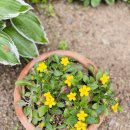 오공농장 이미지