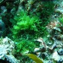 독도환경 이미지