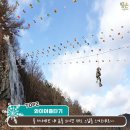 초리넝쿨마을 이미지