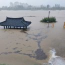 그냥 심심해서요. (22761) ‘세계유산’ 공산성 잠기고 이미지