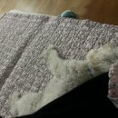 냥냥민박 이미지