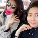메타퓨전 이미지