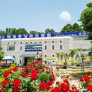 통일로414번길 이미지