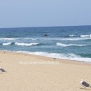 경포 관광안내소 이미지