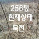 남면농장 이미지