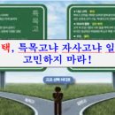 푸른중교 이미지