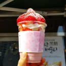 요거프레소순천