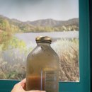 이수역먹자골목 | 이수역 술집 전통주 이수 안주 맛집 한식주점 미송