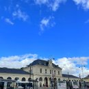 모라산림공원 | #4 주간일기