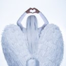 엔젤심리 이미지