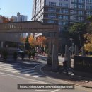 엑슬루타워 국민은행 앞 네이버블로그